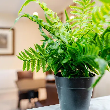 John Dalton House Apartment *